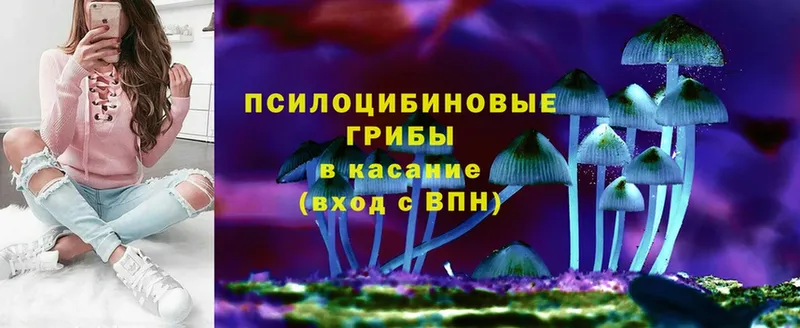 Галлюциногенные грибы Magic Shrooms  Нягань 